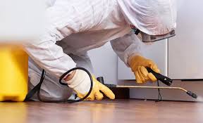 Professional Pest Control in Scotts Valley, CA